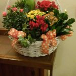BPkimFlowers-IMG_20180117_201020.jpg